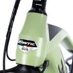 Fantic E-FATBIKE 630Wh Olive Grün – 2022